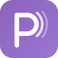 Pulso